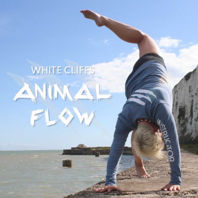 Animal Flow on the beach